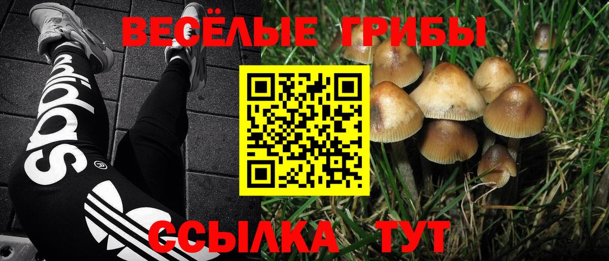 Галлюциногенные грибы Psilocybine cubensis  Псилоцибиновые грибы Psilocybe  Ливны  Вход с VPN 