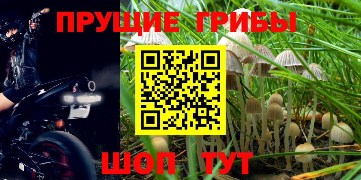 Галлюциногенные грибы Magic Shrooms Ливны